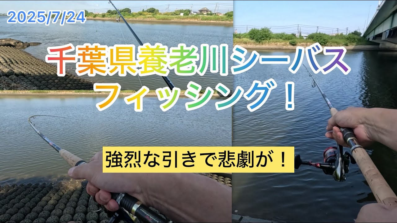 千葉県養老川シーバスフィッシング！2025/7/24