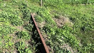 Parada 65,526 Ramal Ringuelet Brandsen Ferrocarril Roca Primer Capítulo