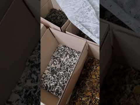 Как дозревает ферментированный чай