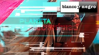 Diana Electronica Bulls Intro Blanco y Negro BU-68007