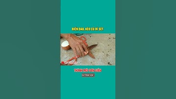 Biến Dao Kéo Cũ Rỉ Sét Thành Siêu Mới #shorts