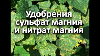 Удобрения сульфат магния и нитрат магния. В чем разница? Когда и для каких культур?