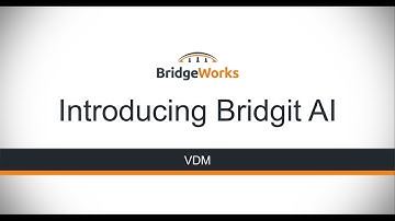 VDM - Introducing Bridgit AI