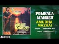 Amudha Mazhai Audio Song | Tamil Movie Pombala Manasu | Raghuvaran, Ranjani | Rathina Suriyan