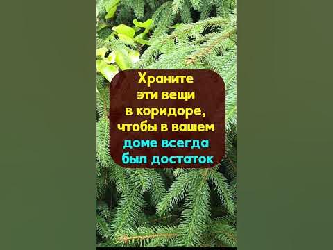 Храните эти вещи в коридоре, чтобы в вашем доме всегда была удача и ...