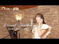 Eternal Feather ~ Contra Returns Ver.~【魂斗羅×聖闘士星矢】MV
