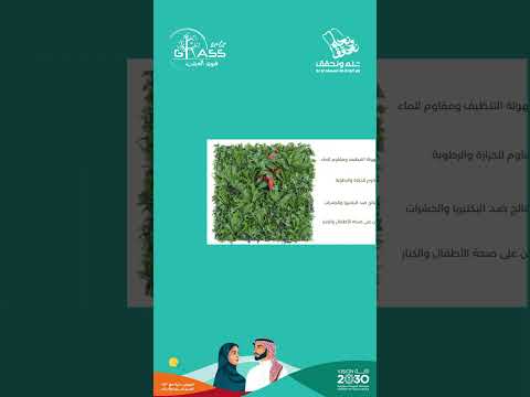 اليوم الوطني السعودي نحلم ونحقق نحلم