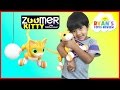 Zoomer Kitty Whiskers The Orange Tabby Unboxing and Play with Ryan ToysReview