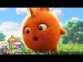 SHOPPING TO THE MARKET | SUNNY BUNNIES | SING ALONG | Cartoons for Kids | WildBrain Bananas