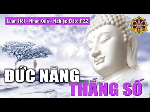 Video Bức Thư Gửi Từ Thế Giới Bên Kia | Nhân Quả - Luân Hồi... - youtube
