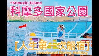 科摩多船宿潛水旅行| 人生首次船宿就要在科摩多國家公園海上！