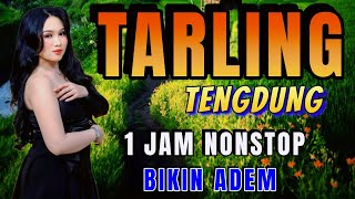 Download Lagu TARLING TENGDUNG __ FULL ALBUM _ LAGU TARLING 1 JAM BIKIN ADEM PASTINYA MP3 Download Lagu TARLING TENGDUNG __ FULL ALBUM _ LAGU TARLING 1 JAM BIKIN ADEM PASTINYA MP3