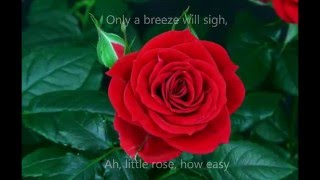 STUDIO: ART SONG: "This Little Rose" - Mim Paquin - lyrics Emily Dickinson, music William Roy