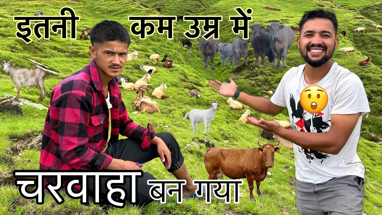 इतनी छोटी सी उम्र में गाँव को छोड़कर जंगलों में रहने लगा ये लड़का Shepherd Lifestyle | Arjun k vlogs
