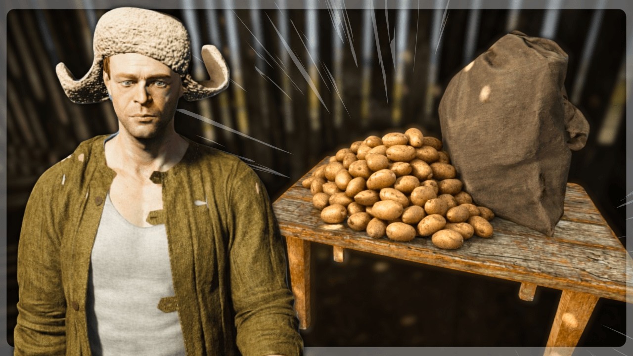 Harvesting My Potatoes Went WAY Better Than I Expected