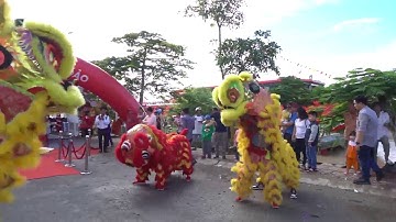 Tàu cao tốc hai thân lớn nhất Việt Nam tại cảng Trần Đề - Sóc Trăng