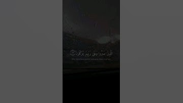 (الذين صبروا وعلى ربهم يتوكلون) القارئ عبدالرحمن مسعد سورة العنكبوت