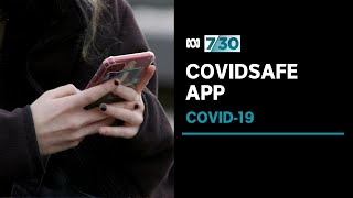 NSW health authorities confirm they are not using the COVIDSafe app | 7.30 screenshot 1