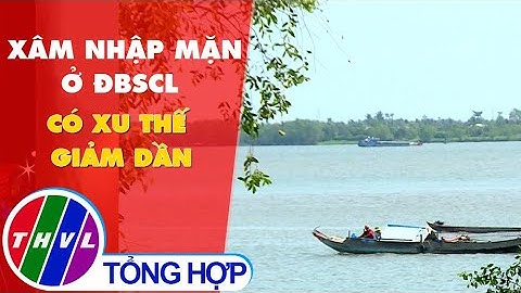 Xâm nhập mặn ở Đồng bằng sông Cửu Long có xu thế giảm dần