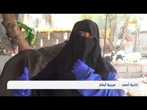 برامج بيطرية تهدف لتحسين الإنتاج الحيواني في مديرية تبن بلحج | تقرير: سامح عبدالوهاب