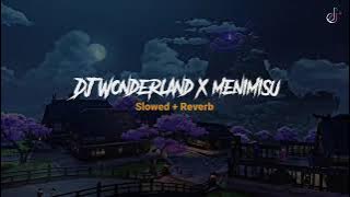 DJ Wonderland Slowed   Reverb 🎧