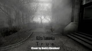 Akira Yamaoka - True (Cover By Dmitry Glushkov) Ost Silent Hill 2 (Game)