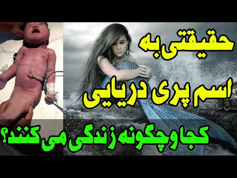 تصویری: چرا زیمبابوه بزرگ رها شد؟