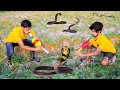 Searching For Snakes Challenge | पहले तो कुछ नहीं मिला, लेकिन फिर.....