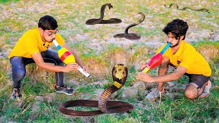 Searching For Snakes Challenge | पहले तो कुछ नहीं मिला, लेकिन फिर..... screenshot 2