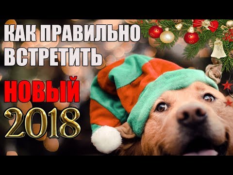 КАК ПРАВИЛЬНО ВСТРЕТИТЬ НОВЫЙ 2018 ГОД