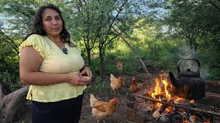 A Woman From The Mountains Builds Her Mud House And S Off What She Grows