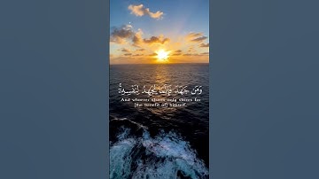تلاوة عطرة من سورة العنكبوت بصوت القارئ بلال دربالي #بلال_دربالي #quran #قرآن #تلاوة_خاشعة #اذكرالله