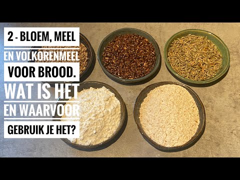 Video: Heeft Ezechiël brood meel?