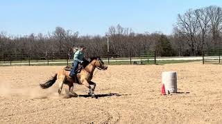 Wyld N Lucky 3-28-26