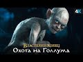 Властелин Колец: Охота на Голлума -
