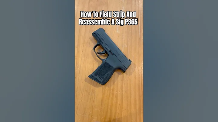 How To Field Strip A Sig P365 9mm For Cleaning