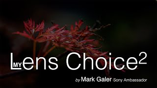 Sony Alpha Lens Choice 2023