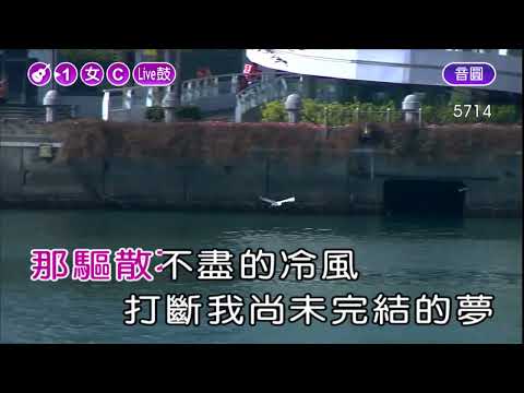 午夜的街頭~鳳飛飛~女C調~伴奏~導唱~有live鼓丙