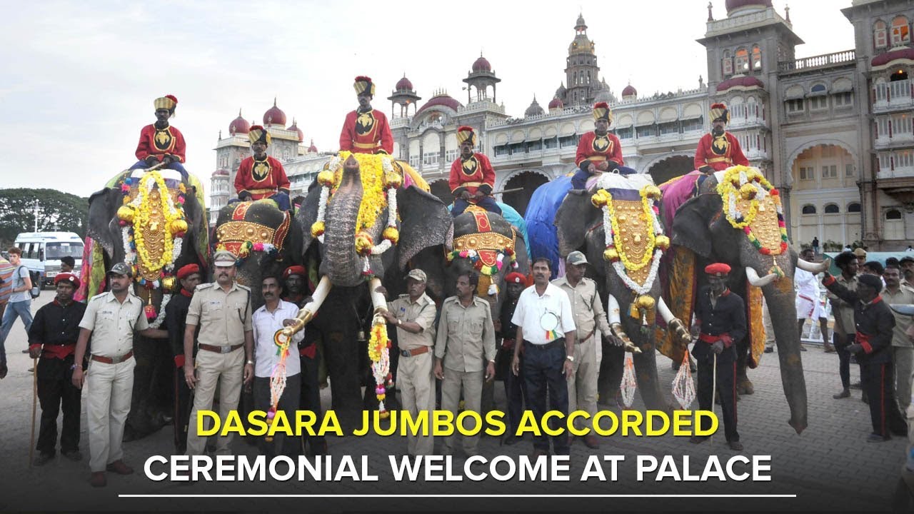 Mysore Dasara 2018: Traditional welcome accorded to Elephants at Mysore Palace
