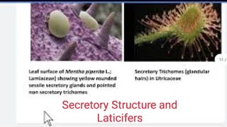 Secretory Structure and Laticifers by Dr. V P Gupta