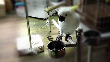 [Tilt-shift Effect]Using PowerDirector -- CREATE Video Challenge-1