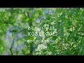 森からはじまる鉄づくり -KOBELCOバイオマス事業紹介-