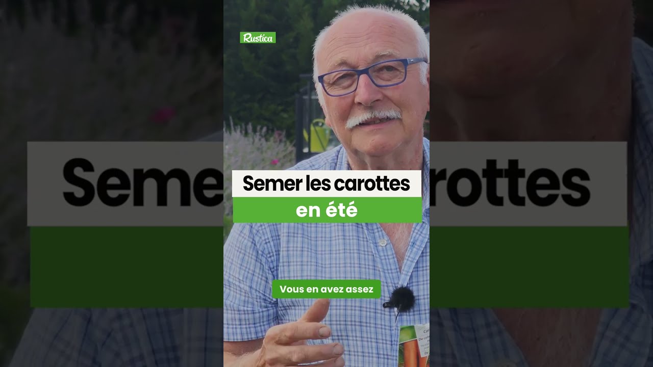Semez les carottes en été avec les conseils d'Hubert Fontaine🥕