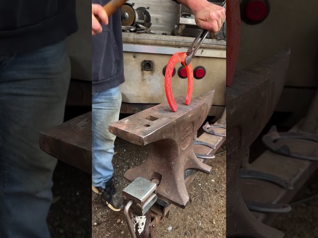 #farrier #horse #farrierlife #satisfying #farriersoftiktok #horsecare #horselife #asmr