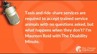 Disability Minute: Service Animal Denials and Rideshare Companies