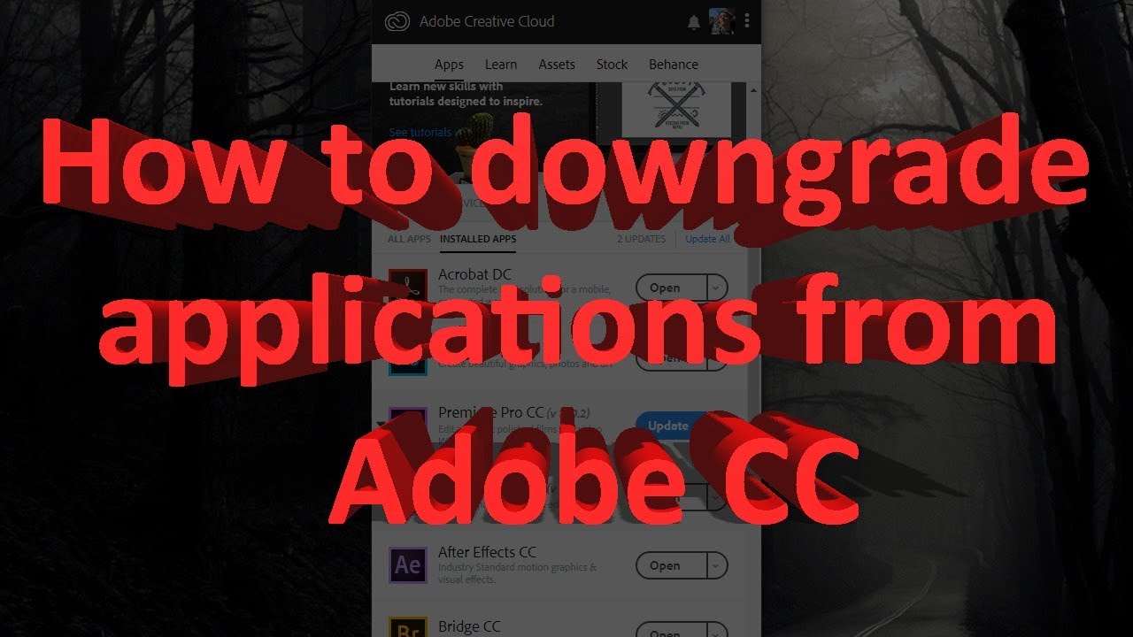 How to downgrade Adobe CC applications (fixes a lot of crashes)