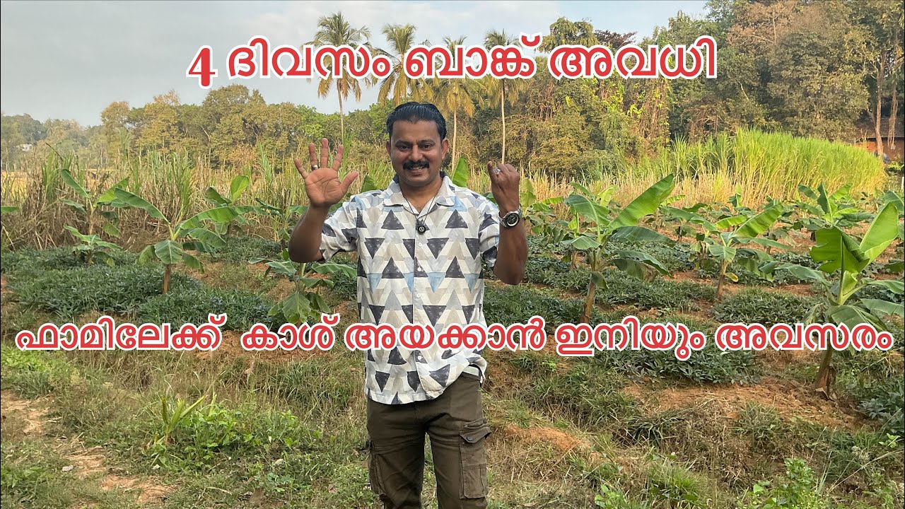 #NP1184#നിഷാദ്പാലക്കാട് അഗ്രികൾച്ചർ പ്രോജെക്റ്റ് #NishadPalakkad#Agricultural ProjectLLP#