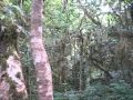 Kilimanjaro Afrika 09 Wmv Kilimanjaro Afrika 09 Wmv