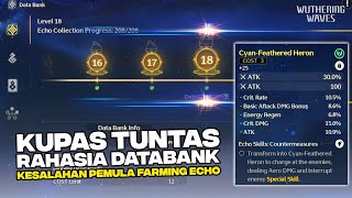 Kesalahan Newbie Saat Farming Echo B5 - Waktu Yang Tepat Farming Echo + CARA CEPAT NAIK Databank 20