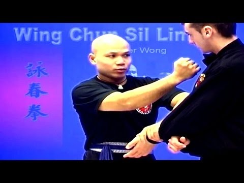 Wing Chun Sil Lim Tao Demo